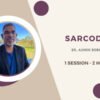 Sarcodes